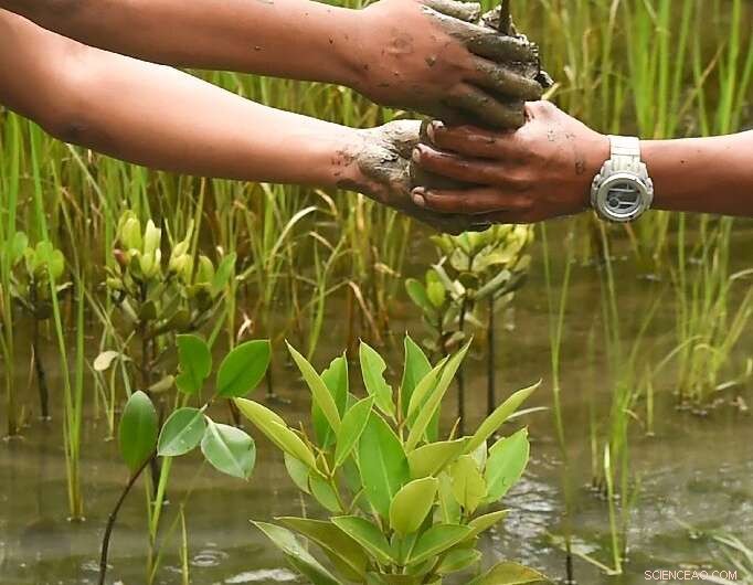 Mumbai Braces for Rising Sea Levels: Homes and Lives in Danger