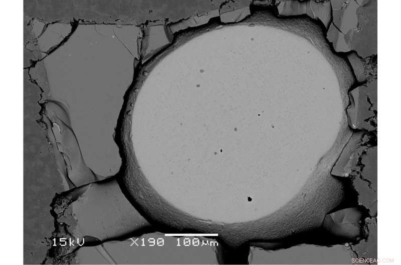 Carbon Distribution on Earth: Timing and Mechanisms