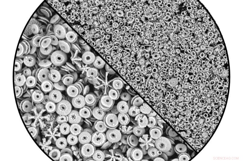 Reevaluating Earth’s Climate Theory Over the Past 15 Million Years