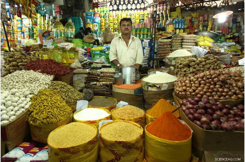 Scientists Discover Lead Contamination in Turmeric