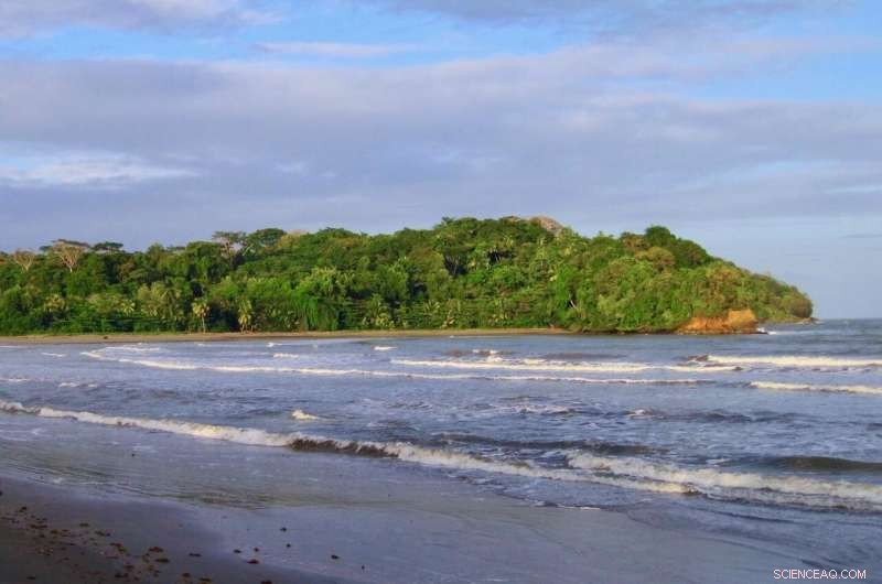 How Wind and Vegetation Influence Sulfur Levels in Trinidad