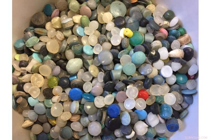 Microplastics in the Great Lakes Become Benthic: A Growing Threat to Aquatic Life