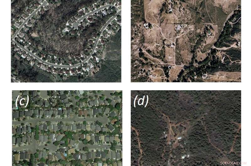 California Wildfires Concentrate in Wildland-Urban Interfaces Lacking Fuel but Populated