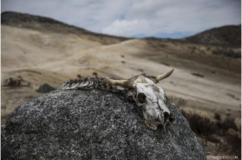 Scientists Trek to Venezuela s Final Glacier Amid Ongoing Chaos