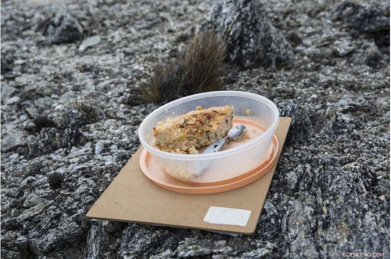 Scientists Trek to Venezuela s Final Glacier Amid Ongoing Chaos