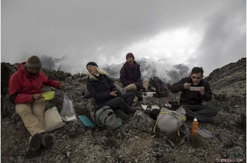Scientists Trek to Venezuela s Final Glacier Amid Ongoing Chaos
