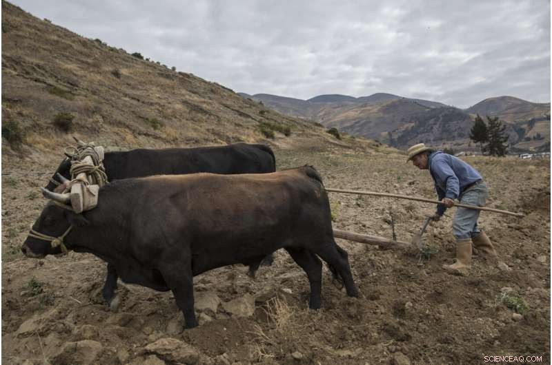Scientists Trek to Venezuela s Final Glacier Amid Ongoing Chaos
