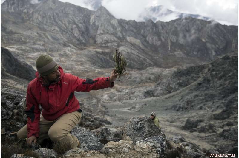 Scientists Trek to Venezuela s Final Glacier Amid Ongoing Chaos