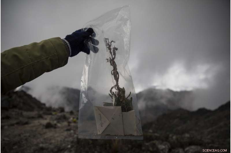 Scientists Trek to Venezuela s Final Glacier Amid Ongoing Chaos