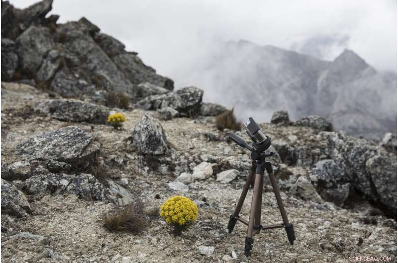 Scientists Trek to Venezuela s Final Glacier Amid Ongoing Chaos