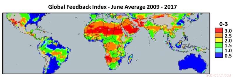 Harnessing Desert Plantations to Sequester Carbon and Restore Rainfall