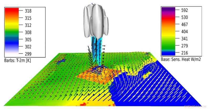 Harnessing Desert Plantations to Sequester Carbon and Restore Rainfall