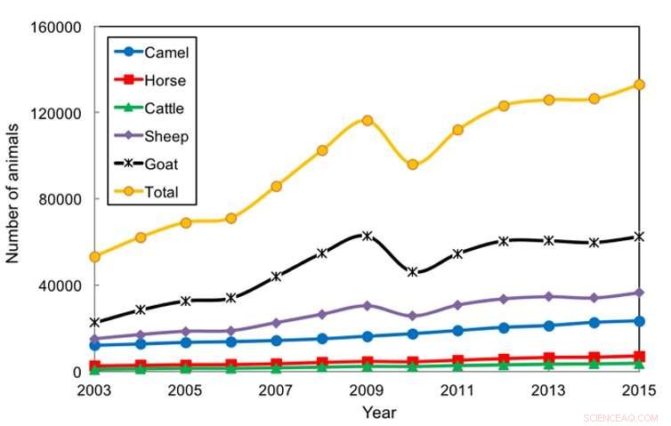 Mongolia s Mining Surge Threatens Time-Honored Herding Traditions