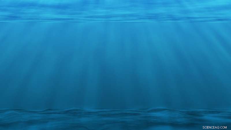 New Study Reveals Plankton’s Crucial Role in Ocean Carbon Sequestration