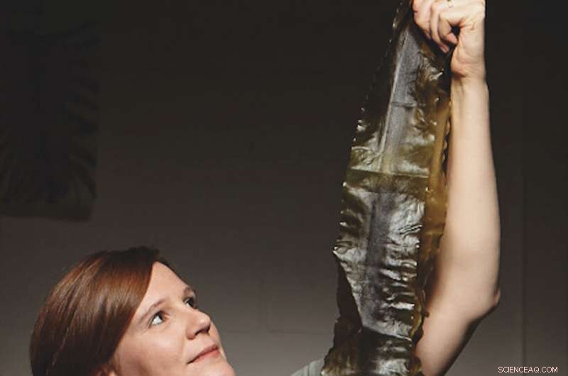 Interdisciplinary Collaboration: Key to Meeting SDGs