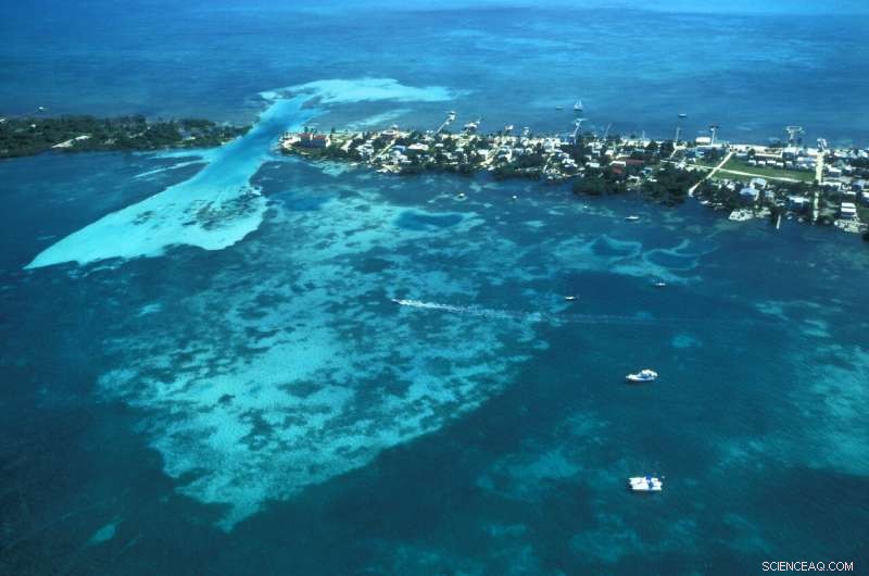 IPCC Oceans Report: Urgent Call for Policymakers to Act on Climate Change