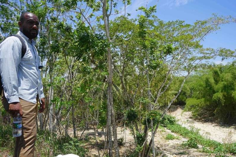 Caribbean Embraces Smart Solutions to Weather Hurricanes