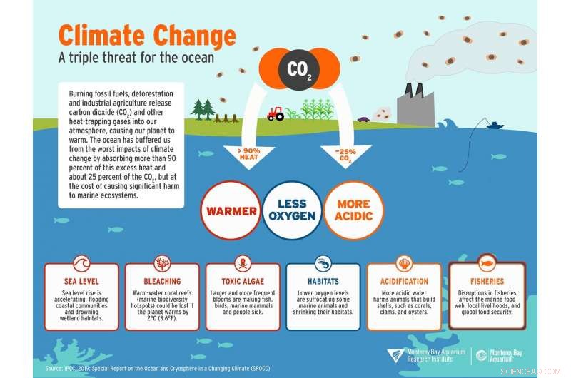 The Impact of Climate Change on Ocean Health