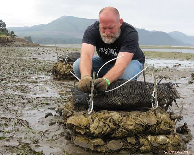 Oregon Unveils Comprehensive Plan to Combat Ocean Acidification and Hypoxia, Strengthening Climate Resilience