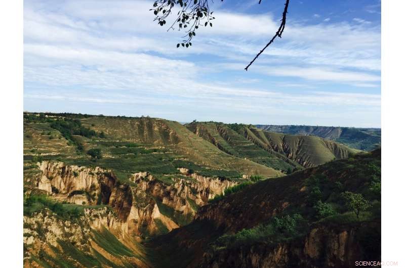 Humankind Only Encountered Elevated Atmospheric CO₂ Levels After 1965