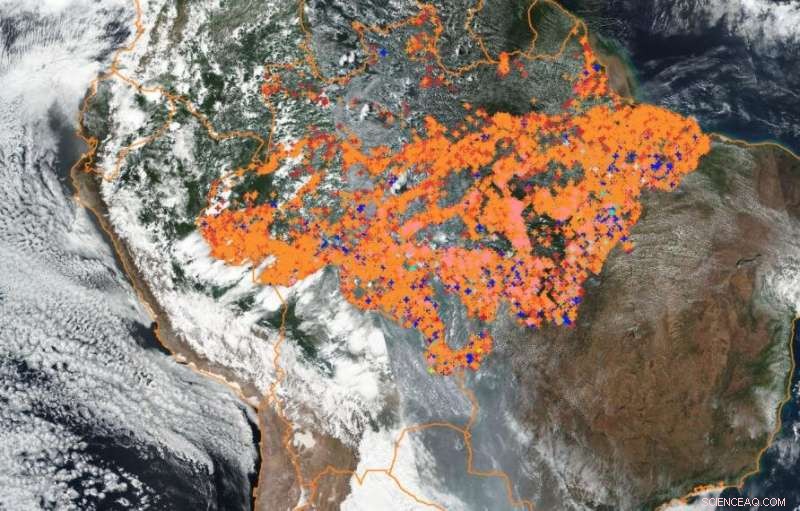 Understanding the Amazon Fires: Causes, Patterns, and Global Impact