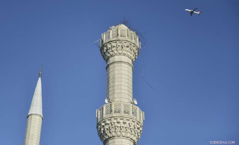 5.8‑Magnitude Earthquake Hits Istanbul; Eight People Slightly Injured