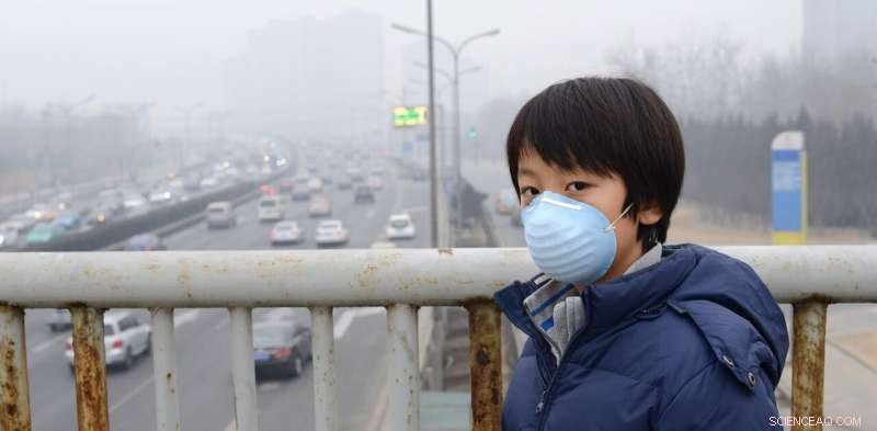 Global Megacities  Air Pollution Accelerates Child Cognitive Decline, Alzheimer’s Risk, and Early Mortality