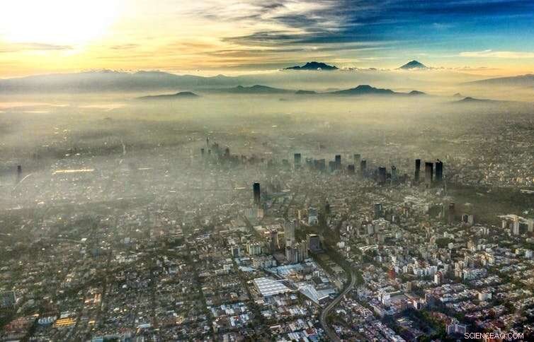 Global Megacities  Air Pollution Accelerates Child Cognitive Decline, Alzheimer’s Risk, and Early Mortality