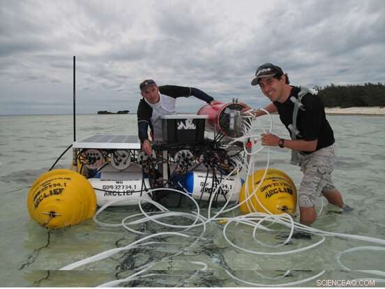 Living Coral Cover Slows Reef Dissolution, Safeguarding Future Marine Ecosystems