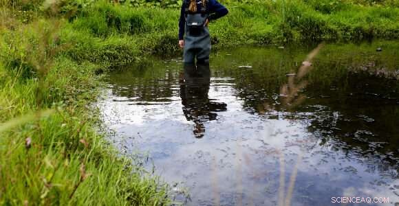 Global Phosphorus Crisis: Urgent Solutions for Food Security