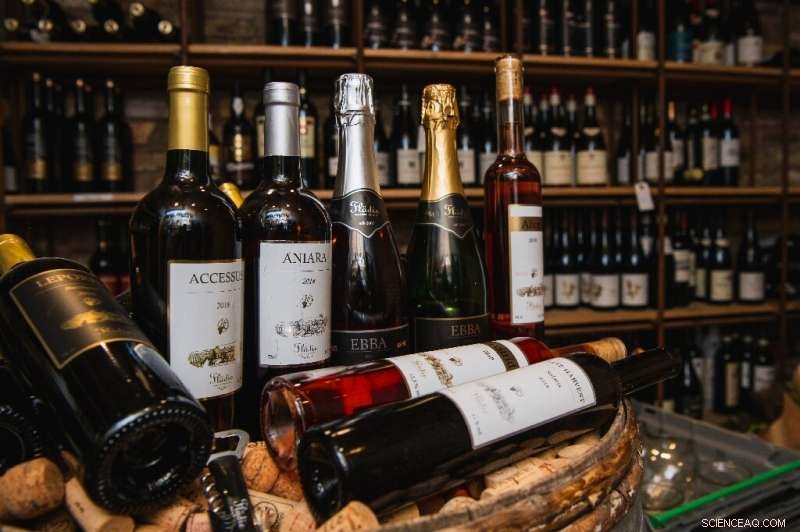 Nordic Winemaking: Mastering Quality Beyond French Chateau Glamour