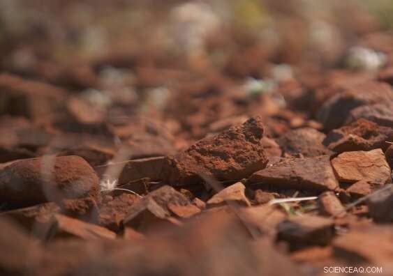 Ancient Microbial Signatures Discovered in 3.5‑Billion‑Year‑Old Rocks, Illuminating Early Life