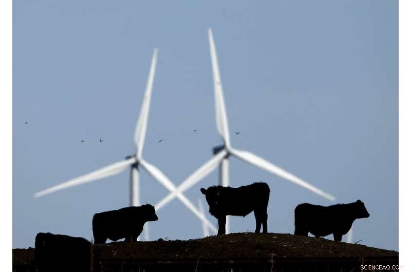 Energy-Saving Habits: Popularity Revealed by Recent Survey