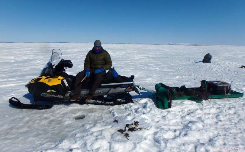 Kotzebue Sound Fish Safe for Consumption: Study Confirms Low Mercury Levels