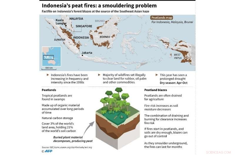 Understanding the Impact of Palm Oil on Indonesia s Forest Fires
