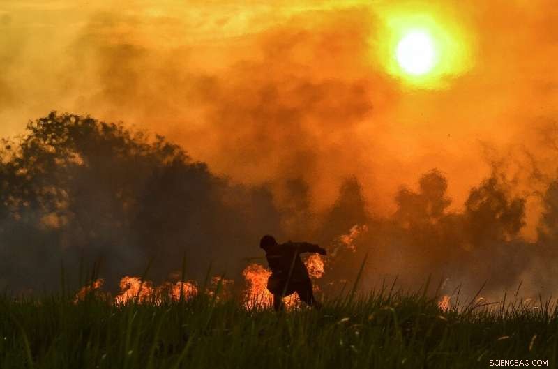 Indonesia Forest Fires Cast Spotlight on Palm Oil Industry