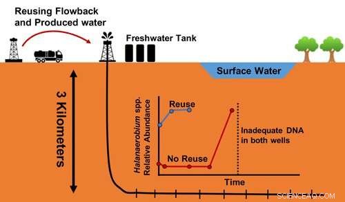 Recycling Salty Water May Control Harmful Microbes at Alberta Drill Sites
