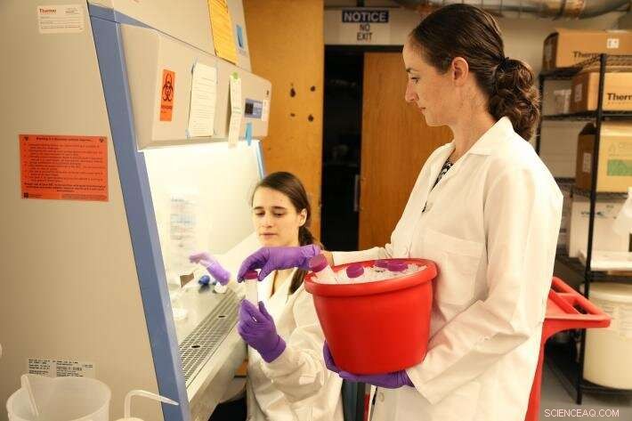 Sustainable Innovation Boosts Drinking Water Safety