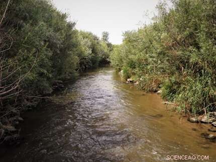 Integrating Stormwater Management with Stream Restoration for Sustainable Waterways