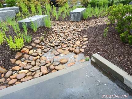 Integrating Stormwater Management with Stream Restoration for Sustainable Waterways