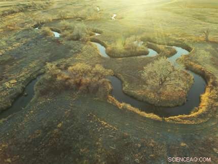 Integrating Stormwater Management with Stream Restoration for Sustainable Waterways