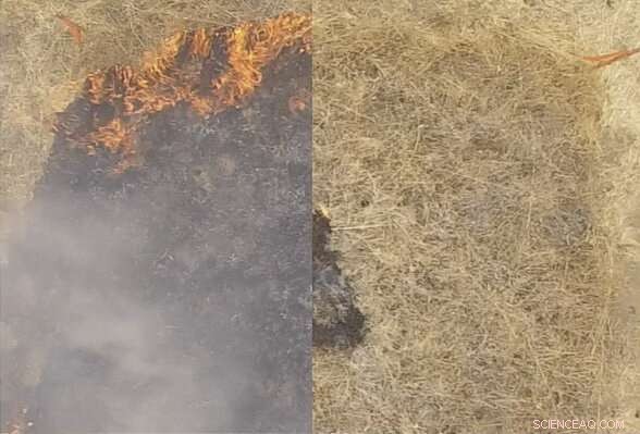 Researchers Develop Gel‑Like Fluid to Stop Wildfires