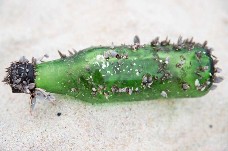 Study Links Ocean Plastic Pollution to Maritime Shipping