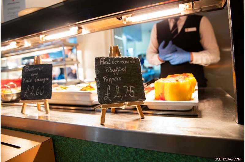 Adding a Second Vegetarian Choice Reduces Meat Intake While Keeping Cafeteria Sales Steady