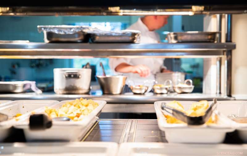 Adding a Second Vegetarian Choice Reduces Meat Intake While Keeping Cafeteria Sales Steady