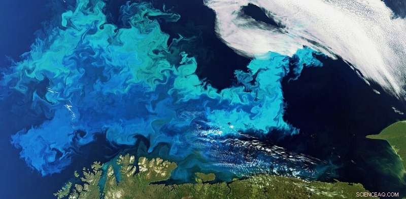 It Takes Two Million Years for Ocean Ecosystems to Recover After a Mass Extinction