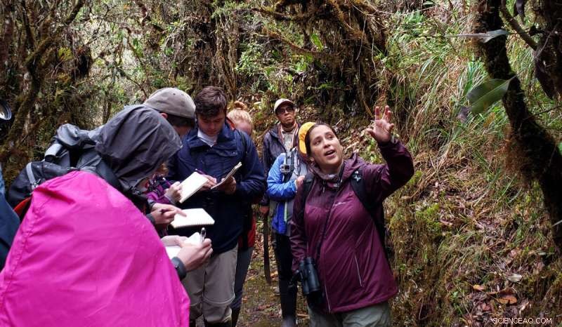 Why Protecting the Amazon Matters for Our Planet