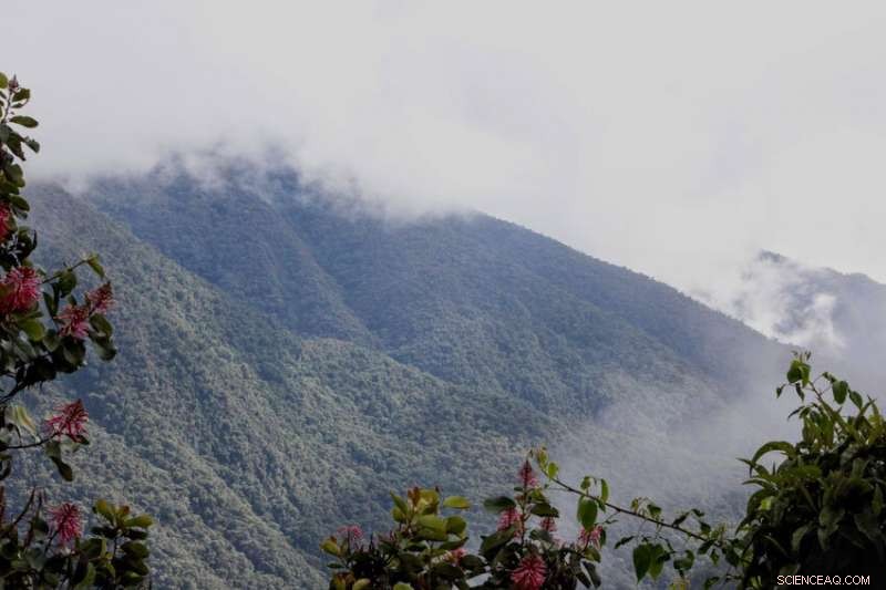 Why Protecting the Amazon Matters for Our Planet