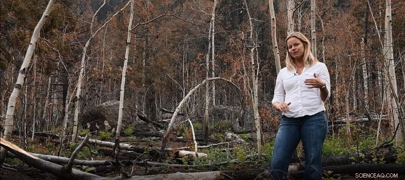 Impact of Climate Change on Mountainous Watersheds and Water Resources