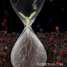 Unlocking Deep Soil Carbon Storage: A Scientific Breakthrough